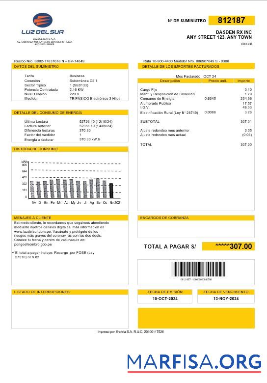 Realistic Peru Luz de Sur business utility bill template in Word and PDF formats, fully editable